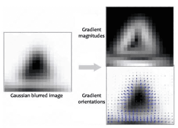 orientation assignment