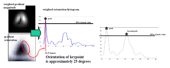 keypoint orientation